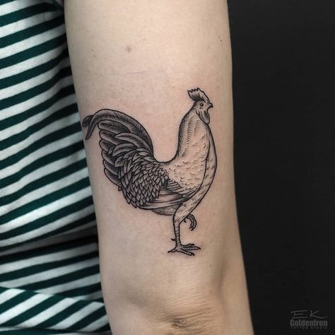 Tattoo Rooster, Hen Tattoo, Rooster Silhouette, Lines Illustration, Rooster Tattoo, Praha Prague, Line Illustration, Prague, I Tattoo