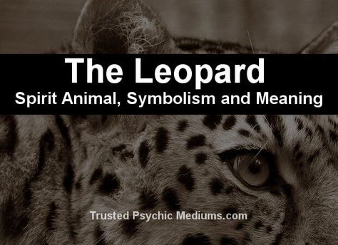 The Leopard Spirit Animal - A Complete Guide to Meaning and Symbolism. Leopard Tattoo Meaning, Leopard Spirit Animal, Cat Totem, Spirit Animal Meaning, Animal Meanings, Black Love Quotes, Spirit Animal Totem, Leopard Tattoos, Spiritual Animal