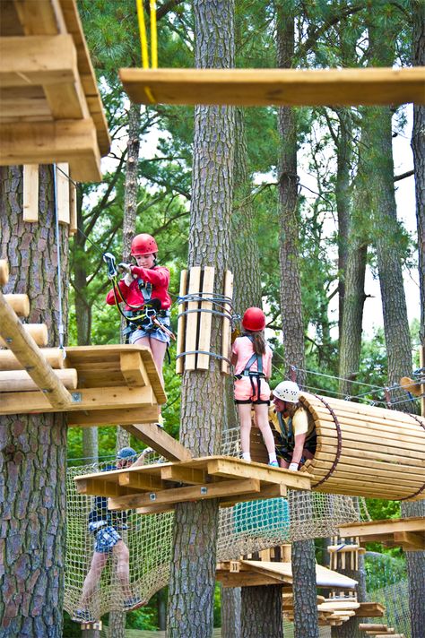 Tree Top Adventure, High Ropes, Playground Landscaping, Kids Backyard Playground, Cnc Wood Carving, Backyard Trampoline, Fun Park, Playground Design, Tree Top