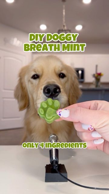 Diy Dog Mints, Homemade Breath Dog Treats, Doggie Breath Mints Diy, Doggy Breath Mints Diy, Breath Mints For Dogs, Dog Fresh Breath Treats, Dogs Breath Stinks, Dog Mint Treats, Mint Dog Treats Recipes