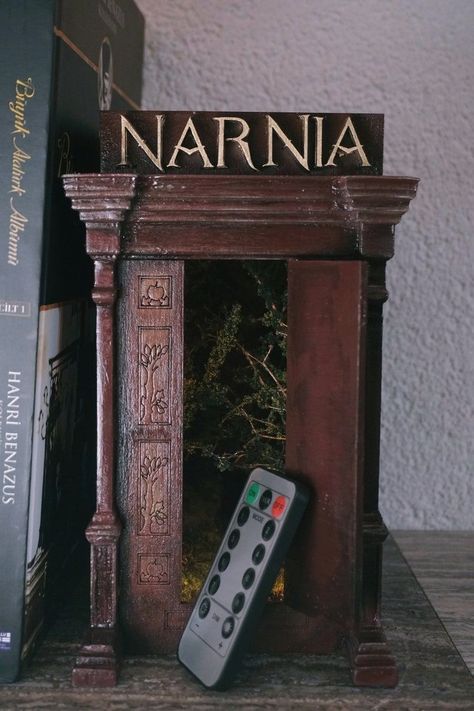 Shelf Insert, Bookshelf Art, Fairy Stuff, Miniature Crafts, Mini Things, Book Shelf, Book Nooks, Narnia, Cute Crafts