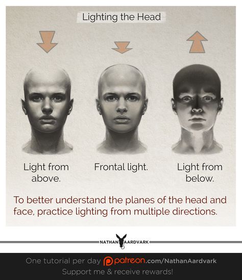 Light Source Above Reference, Lighting From Below Face, Good Bone Structure Faces, Above Lighting Reference Drawing, Face Lighting From Below, Above Head Lighting Reference, Shading The Face, Lighting From Above Reference Face, Shading Face Tutorial