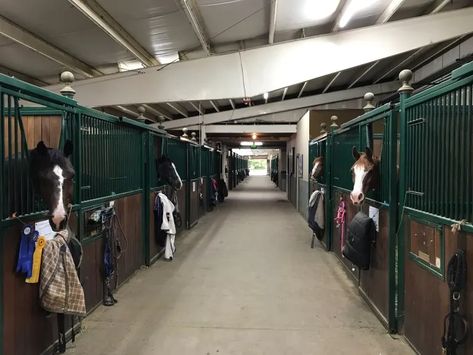 - Summer Horse Camp - Denver Equestrians Riding School Riding School Aesthetic, Equestrian School, Equestrian Boarding School, High School Equestrian Team, College Equestrian Team, Spanish Riding School Vienna, Horse Riding School, Horseback Riding Lessons, Riding School