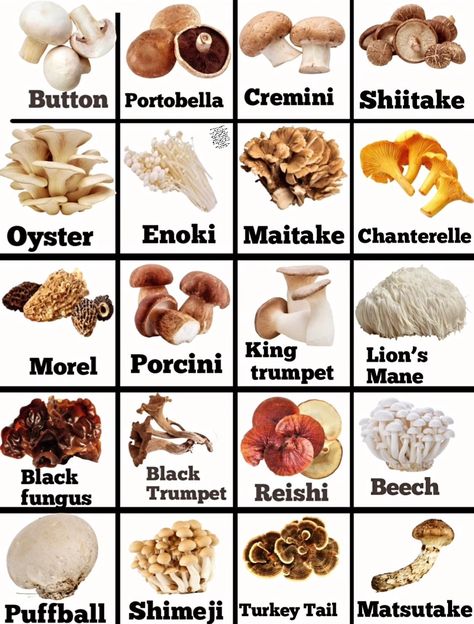 Mushroom Types, Mushroom People, Mushroom Varieties, No Cook Meals, Food Ideas, Stuffed Mushrooms, Quick Saves