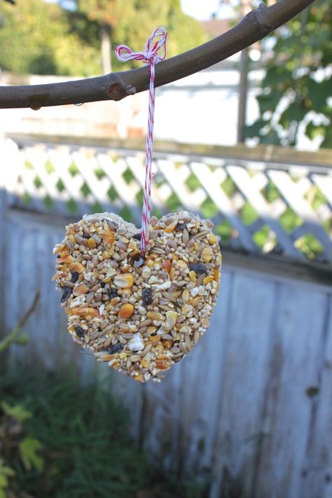 Natural Party Decorations, Nature Decor Diy, Suet Bird Feeder, Bird Seed Feeders, Homemade Bird Feeders, Diy Bird Feeder, Fun Crafts To Do, Diy Birds, Bird Seed