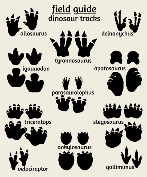 Dinosaur Nursery Art, Field Guide to Dinosuar Tracks | Alley Kids : Art for Kids Dinosaur Bathroom, Footprint Poster, Dinosaur Worksheets, Nursery Dinosaur, Dinosaur Nursery Art, Dinosaurs Preschool, Dinosaur Bedroom, Dinosaur Tracks, Dinosaur Room