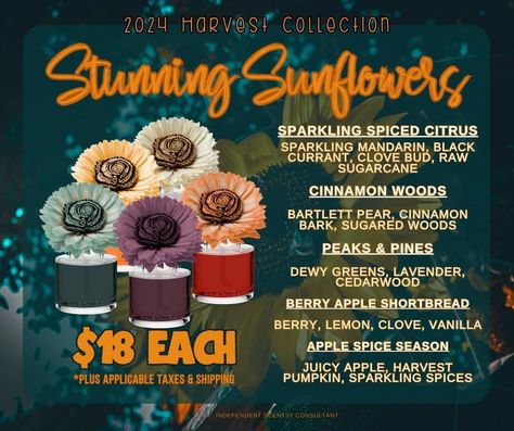 Scentsy Host A Party Fall, Scentsy Harvest Collection 2024, Fall/winter Scentsy 2024, Scentsy Fall Party, Scentsy Thursday, Scentsy Fall 2024, Scentsy 2024, Scentsy Host, Scentsy Fall