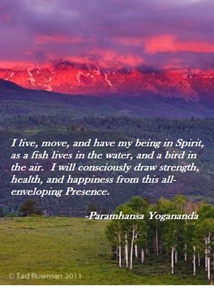 Arguing Quotes, Yogananda Paramahansa, Yogi Quotes, Paramhansa Yogananda Quotes, Paramahansa Yogananda Quotes, Yogananda Quotes, Paramhansa Yogananda, Yoga Master, Kriya Yoga