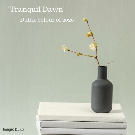 Tranquil Dawn Kitchen, Dulux Tranquil Dawn Bedroom, Dulux Tranquil Dawn, Tranquil Dawn, Dulux Paint Colours, Green Grey Paint, Office Paint Colors, Green Wall Color, Kitchen Colour