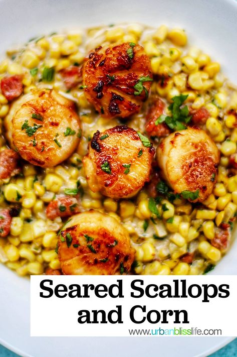 This Seared Scallops dish is on a bed of corn with Filipino longanisa sausage. A little sweet, a lot of savory, and absolutely positively DELICIOUS! A beautiful, elegant, restaurant-style dinner you can cook at home. Recipe on UrbanBlissLife.com Scallops With Corn, Bbq Scallops, Scalloped Corn, Scallop Dishes, Seafood Recipe, Seared Scallops, Scallop Recipes, Scallops Seared, Corn Recipes