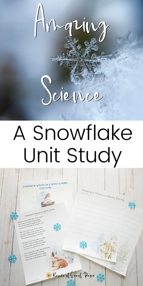 Snowflake Unit Study, Winter Unit Study Homeschool, January Unit Studies, Snowflake Lesson, Snowflake Science, The Snowy Day Book, Snowflakes Science, Science Unit Studies, Snowflake Bentley