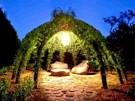 Growing climbing plants is a perfect idea to enhance your beautiful garden and create a gorgeous Green gazebo that emphasizes a romantic ambiance Willow Dome, Willow Garden, Living Willow, Outdoor Structure, Living Fence, Willow Branches, Farm Art, Backyard Retreat, Backyard Living