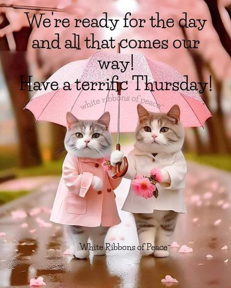 Rainy Thursday, Good Morning Rainy Day, Thursday Quotes, Rainy Morning, Thursday Morning, Good Morning Greetings, Happy Thursday, Morning Wish, Good Morning Wishes