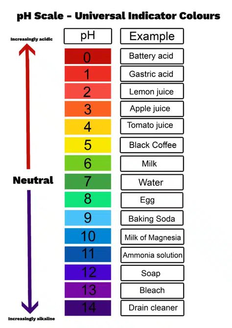 What is the pH Scale? Ph Levels Chart, Ph Chart, Ph Scale, Hygiene School, Fish Printables, Dental Hygiene School, Ph Levels, Christmas Decorations For Kids, Photos For Profile Picture