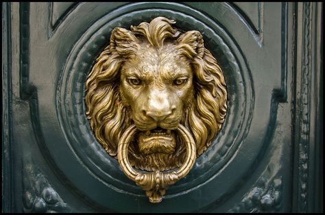 Silver Door Knobs, Old Door Knobs, Lion Door Knocker, Owl Door, London Mayfair, Door Knobs And Knockers, Lion Illustration, Brass Door Knobs, Brass Door Knocker