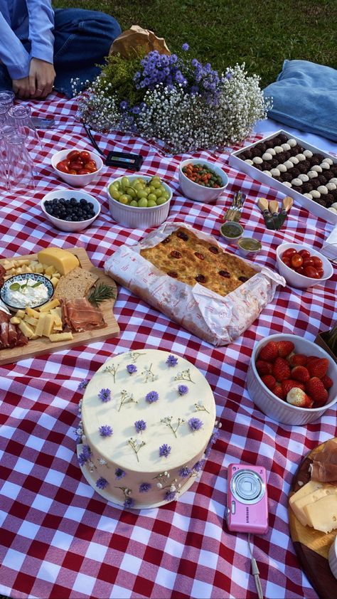 Picnic Party Ideas Food, Picnic Birthday Party Aesthetic, 21st Birthday Themes, Picnic Activities, Vintage Birthday Cakes, Picnic Birthday Party, Picnic Inspiration, Picnic Essentials, Picnic Birthday