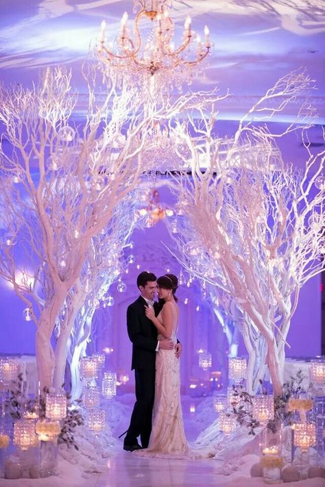 Winter wonderland Ice Wedding, Winter Wonderland-party, Winter Wonderland Wedding Theme, Diy Winter Wedding, Wonderland Wedding Theme, Winter Wonderland Decorations, White Trees, Diy Winter, Wedding Themes Winter