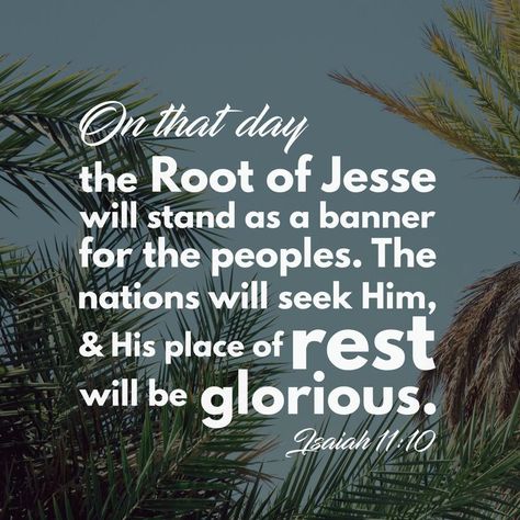 On that day the Root of Jesse will stand as a banner for the peoples. The nations will seek Him, and His place of rest will be glorious. Isaiah 11:10 Isaiah 11, Book Of Isaiah, Faith Scripture, Verses Wallpaper, Christian Bible Verses, Bible Verse Wallpaper, Prayer Cards, Christian Bible, That Day