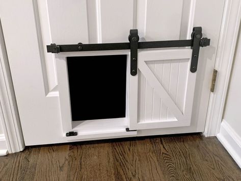 20+ Cute and Creative Interior Cat Door Ideas - Whiskers Magoo Pet Gates, Custom Barn Doors, Pet Doors, Pet Door, Syracuse Ny, Dog Rooms, Cat Door, Pet Gate, Dog Door