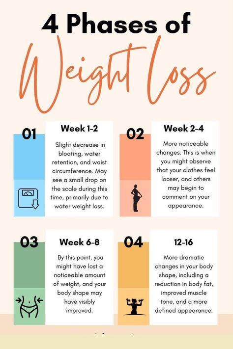 A motivational infographic titled "4 Phases of Weight Loss," featuring a timeline of weight loss milestones from weeks 1–16. Includes colorful illustrations and textual descriptions of changes like reduced bloating, improved body shape, and muscle tone. Weekly Gym Workouts, Workout Form, How To Build Strength, New To The Gym, Gym Tips For Beginners, Basic Exercise, Gym Etiquette, Full Body Training, Fitness Vision Board