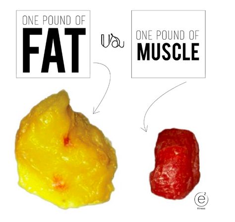 Fat Vs Muscle, One Pound Of Fat, 1200 Calories A Day, Strength Training Guide, Strength Training For Beginners, Motivation Pictures, Squats And Lunges, Bad Knees, Fitness Motivation Pictures