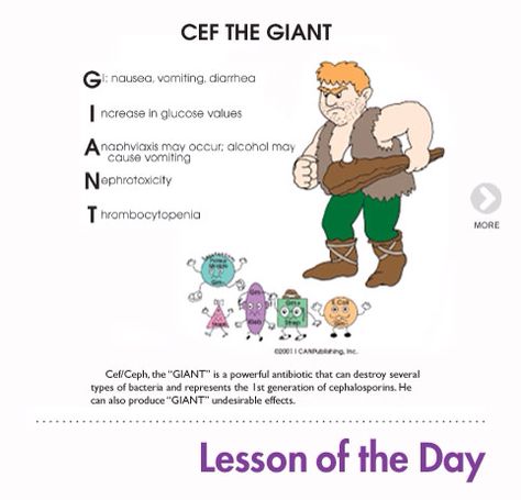 Cephalosporins...ROCEPHIN.... note the "G" aka common side effects! Cephalosporins Mnemonics, Nursing Pneumonics, Happy Nurse, Nursing Pharmacology, Np School, Nursing Study Guide, Nursing Mnemonics, Nurse Study Notes, Pharmacy School