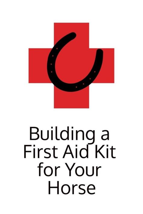 June is National Animal Disaster Preparedness Month. Part of disaster planning includes having a stocked first aid kit on hand. But what should you put in your horse’s first aid kit??? – Finding Fantastic Beasts Horse Emergency Kit, Equine First Aid Kit, Horse First Aid Kit Checklist, Horse First Aid Kit, Horse First Aid, First Aid Kit Checklist, Horse Hacks, Horse Humor, Horse Ownership