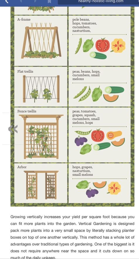 Vegetable Garden Vertical, Veggie And Fruit Garden Layout, Vertical Garden Layout, Small Backyard Vegetable Garden Design Layout, Small Homestead Garden Layout, Small Vegetable Garden Design Layout, Fruit And Vegetable Garden Layout, Vegetable Garden Plans Layout Design, Beginner Garden Layout