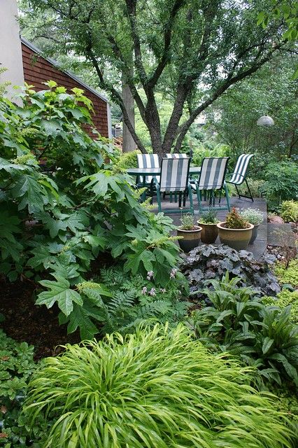 Stunning Backyards, Bushes For Front Yard, Green Mountain Boxwood, Front Garden Landscaping, Easy Garden Ideas Landscaping, Hammock Area, Colorful Landscaping, Corner Landscaping, Pnw Garden