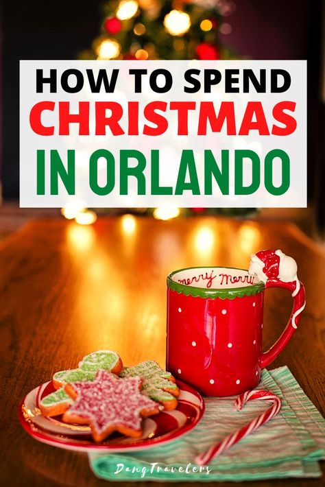 Christmas Vacation Ideas, Wdw Christmas, Things To Do At Christmas, Florida In December, Florida Vacation Outfits, Christmas Florida, Things To Do Orlando, Orlando Christmas, Snowy Escape