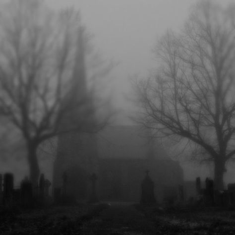 Grave Aestethic Dark, Foggy Town Aesthetic, Foggy Photography, Foggy Town, Foggy Graveyard, Haunting Photography, Aesthetic Horror, Spooky Cats, Eerie Places