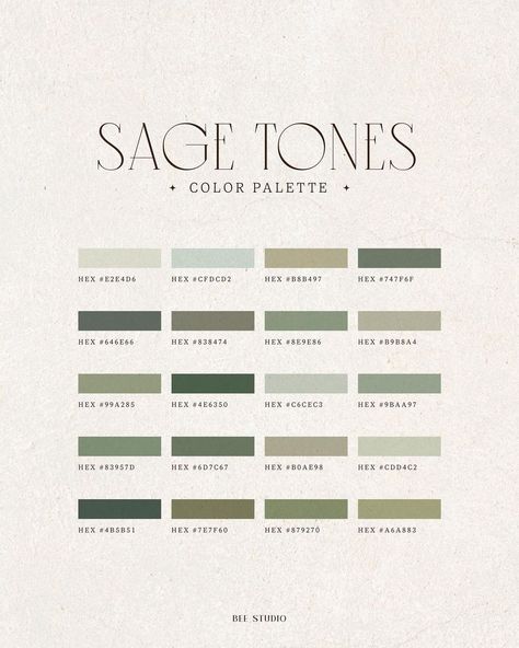 Sage Color Palette, Green Branding, Pantone Palette, Hex Color Palette, House Color Palettes, Color Pallete, Fresh Color Palette, Green Palette, Hex Color Codes