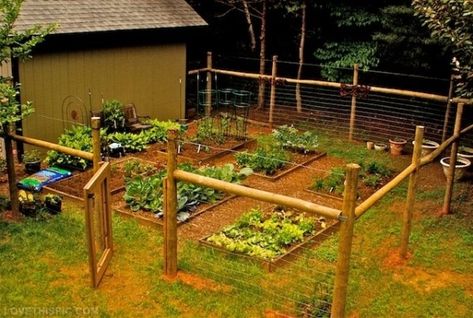 Do you need a fence that doesn't make you broke? Learn how to build a fence with this collection of 27 DIY cheap fence ideas. Fenced Vegetable Garden, Diy Garden Fence, Cheap Fence, Garden Privacy, Plants Growing, Better Homes And Garden, Backyard Fences, Fence Ideas, Raised Bed