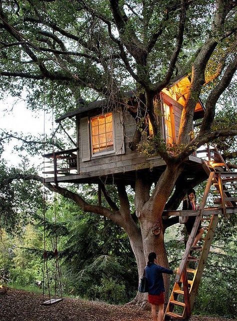 Simple Tree House, Beautiful Tree Houses, Tree House Plans, Tree Fort, Tree House Diy, Eco Friendly Diy, Tree House Kids, Cool Tree Houses, Simple Tree