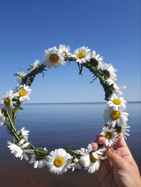 Flowers Crown Aesthetic, Flower Crown Daisy, Cottagecore Flowercrown, Cottagecore Crown, Aesthetic Flower Crown, Flower Crown Aesthetic, Flower Crown Ideas, Daisies Aesthetic, Summer Flower Crown