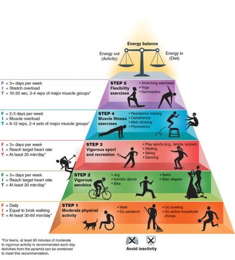 Physical Activity Pyramid, Fitness Facts, Major Muscles, Yoga For Flexibility, Workout Regimen, Resistance Training, Human Services, Physical Activity, Boost Your Metabolism