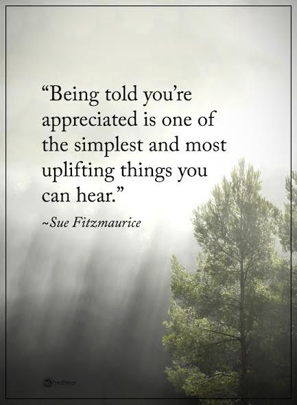 "Being told you're appreciated is one of the simplest and most uplifting things you can hear." - Sue Fitzmaurice ~ETS  #positivevibes #appreciation #uplift Appreciated Quotes, Daily Quotes Positive, Appreciation Quotes, Motivational Thoughts, Power Of Positivity, A Quote, Famous Quotes, Positive Thoughts, Daily Quotes