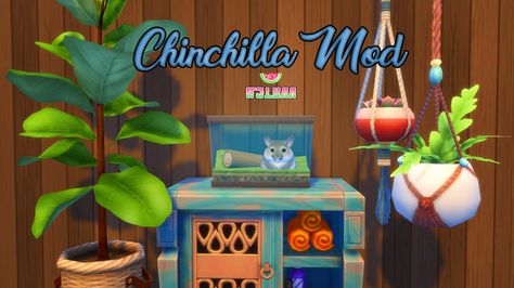 Chinchilla Mod | melunn on Patreon Sims Pets, Witchy House, Sims 4 Cc Folder, New Mods, Ts4 Cc, Sims Mods, Super Excited, Pet Store, Sims Cc