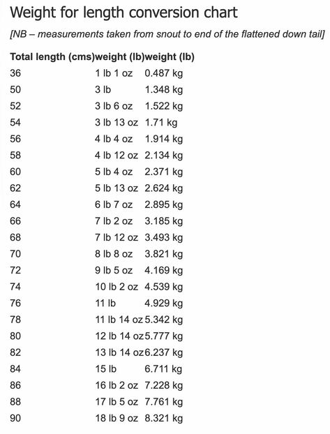 Fish Calories Chart, Red Sea Fish Guide, Worrying Too Much, Digital Weighing Scale, Electronic Scale, Measuring Success, The Quarry, Weighing Scale, Challenge Me