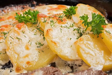 Can You Freeze Cooked Potatoes? The Best Way - The Kitchen Journal Can You Freeze Scalloped Potatoes, Freezing Potatoes, Boiled Red Potatoes, Gold Potato Recipes, Kitchen Journal, Cheese Potato Casserole, Cooking Red Potatoes, Homemade Scalloped Potatoes, Cooking Baked Potatoes