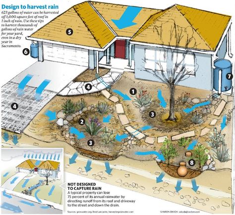 By resculpting your landscape, you can save some rain for later use. Greenhouse Design, Rainwater Collection, Rain Harvesting, Water From Air, Rainwater Harvesting System, Rain Collection, Rainwater Harvesting, Water Collection, Dry Creek