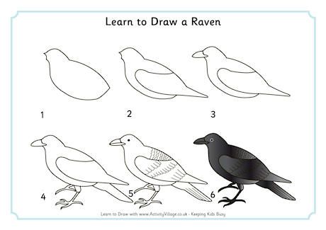 Learn to Draw a Raven How To Draw A Raven Easy, How To Draw A Raven, Raven Drawing Simple, Crow Or Raven, Crows Drawing, Draw Birds, Harry Potter Painting, Easy Drawings For Beginners, A Crow