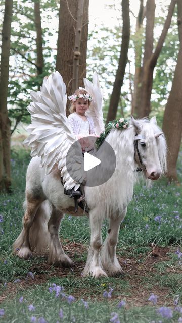 Mobberley Miniatures on Instagram: "Always believe in Unicorns 🤍  Thankyou @mv_photography93 for capturing such a magical morning with Honey and Marshmallow✨   #unicorn#enchantedwoodland#fairytail#solucky#pegasus#alicorn" Marshmallow Unicorn, Unicorn Real, Pegasus Unicorn, Real Unicorn, Real Video, Always Believe, Magical Unicorn, Amazing Places, Fairy Tail