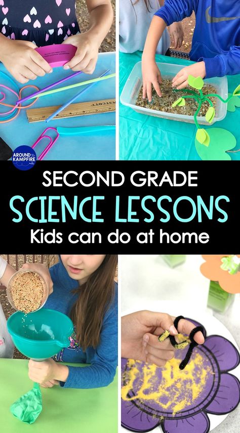 Homeschooling 2nd Grade, Second Grade Science, 2nd Grade Activities, Learning At Home, Homeschool Education, Homeschool Learning, Homeschool Lesson, Homeschool Activities, Elementary Science