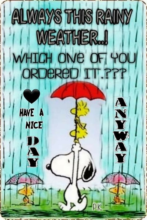 Good Morning Rain, Good Morning Rainy Day, Rainy Day Quotes, Saturday Morning Quotes, Good Morning Snoopy, Happy Day Quotes, Good Morning Beautiful Gif, Snoopy Funny, Butterfly Quotes