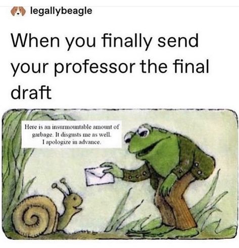 School Memes, Funniest Memes, A Frog, The Frog, What’s Going On, Tumblr Funny, Tumblr Posts, Keep Up, Dankest Memes