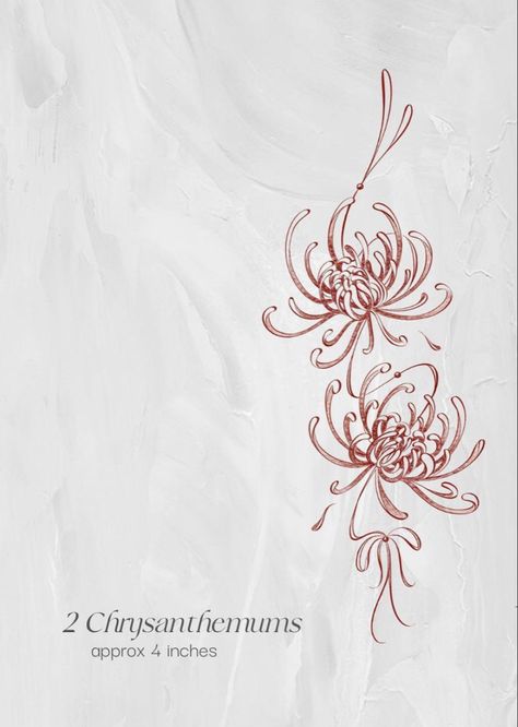 Spine Tattoos For Women Chrysanthemum, Chrysanthemum Tattoo Hip, Crasanthama Flower Tattoo, Chinese Flowers Tattoo, Crysantenum Flower Tattoo Design, Crysantenum Tattoo, Chrisantem Tattoo, Japanese Chrysanthemum Tattoo Design, Red Chrysanthemum Tattoo