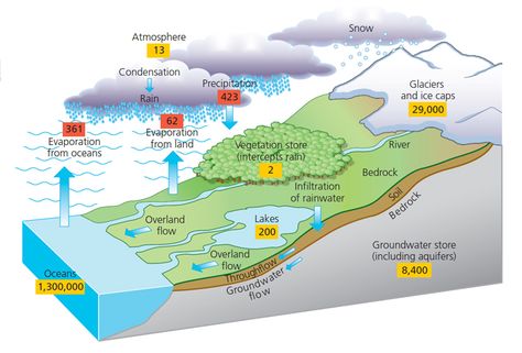 Hydrological Cycle Diagram, Water Cycle Project, Homeschool Goals, Water Cycle Diagram, Hydrological Cycle, Earth Systems, A Levels, Fantasy Terrain, Gcse Geography