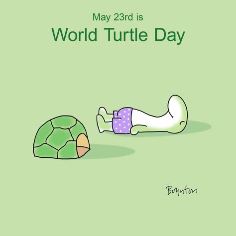 National Turtle Day, World Turtle, Sea Turtle Pictures, World Turtle Day, Turtle Day, National Day Calendar, Thinking Of You Quotes, Quotes Lucu, Snoopy Cartoon