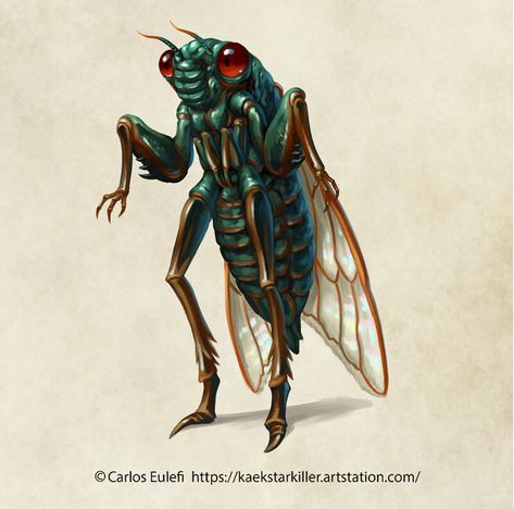 ArtStation - Humanoid Cicada, Kaek McBeardy Dnd Races, Animal Groups, Aspiring Artist, Clip Studio Paint, Dungeons And Dragons, Mammals, Character Inspiration, Sketch Book, Character Design